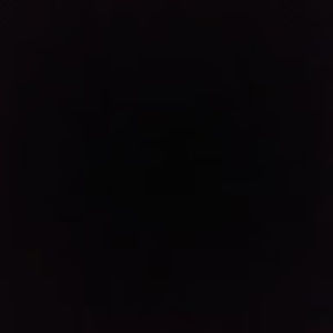 Meet your Posher, Amelia